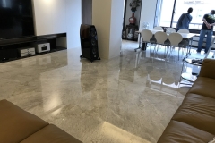 安格拉珍珠 地坪 (2)