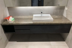 秋海棠-廁所檯面