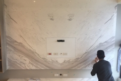 銀狐 電視牆 (2)