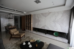 銀狐 電視牆 (39)