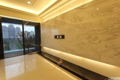 銀狐 電視牆 (40)