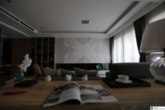 銀狐 電視牆 (45)