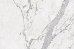 LINE_ALBUM_鈦鋼_240429_14