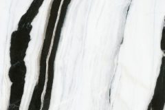 LINE_ALBUM_鈦鋼_240429_17