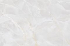 LINE_ALBUM_鈦鋼_240429_2