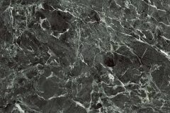 LINE_ALBUM_鈦鋼_240429_20