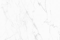 LINE_ALBUM_鈦鋼_240429_28