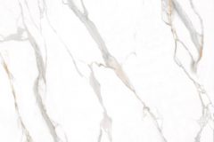 LINE_ALBUM_鈦鋼_240429_29