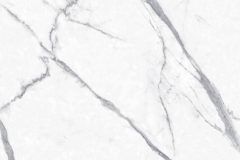 LINE_ALBUM_鈦鋼_240429_30