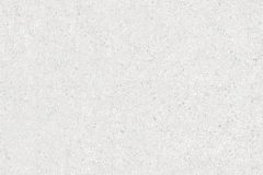 LINE_ALBUM_鈦鋼_240429_33