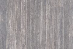 LINE_ALBUM_鈦鋼_240429_47