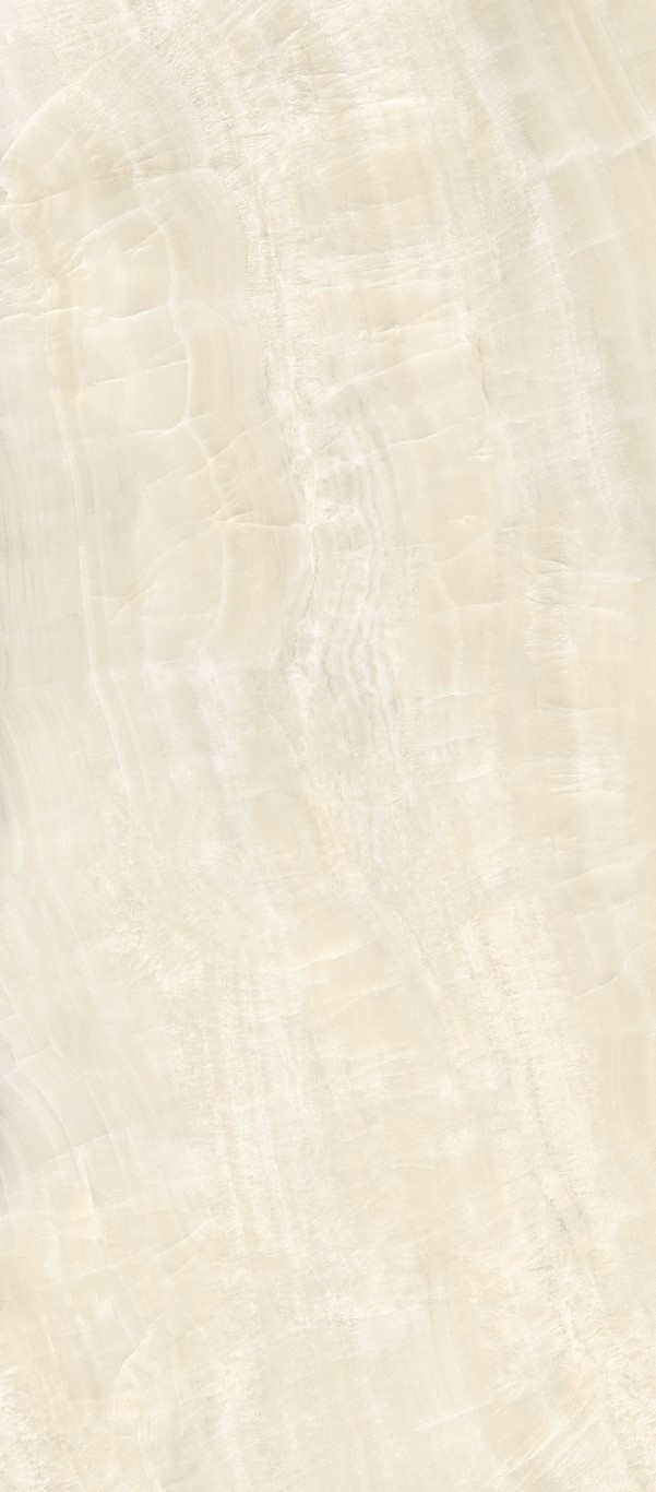 FV1228A10P-1 (Medium)